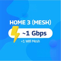 Home 3 (01 Mesh)